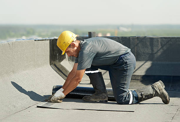 Best Insulation Installation Services in Dansville, NY