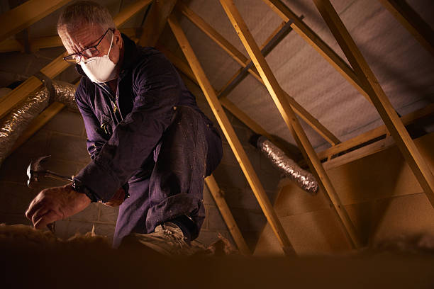 Best Energy Efficiency Solutions in Dansville, NY